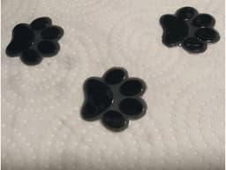 cat footprint 3d model