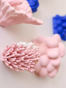 Anemone | Wall Mounted 3d model