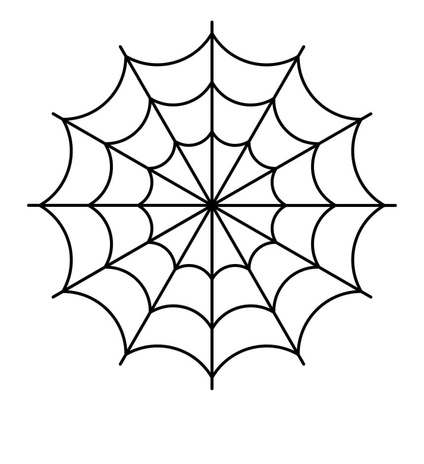 Spiderweb 3d model