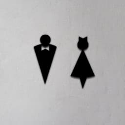 Toilet Sign 3d model