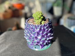 Dragon Egg / Pine Cone Pot 3d model