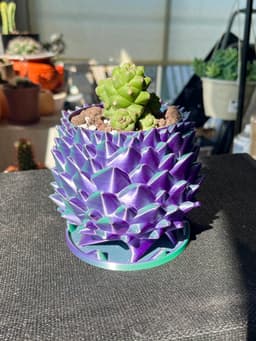 Dragon Egg / Pine Cone Pot 3d model