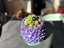 Dragon Egg / Pine Cone Pot 3d model