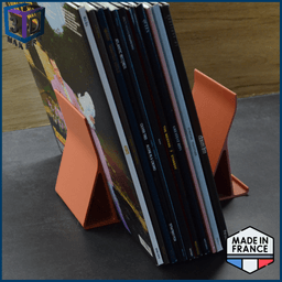 Vinyl Storage Rack 3d model