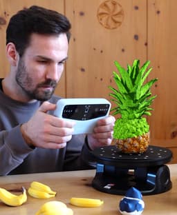 Pineapple coasters 3d model
