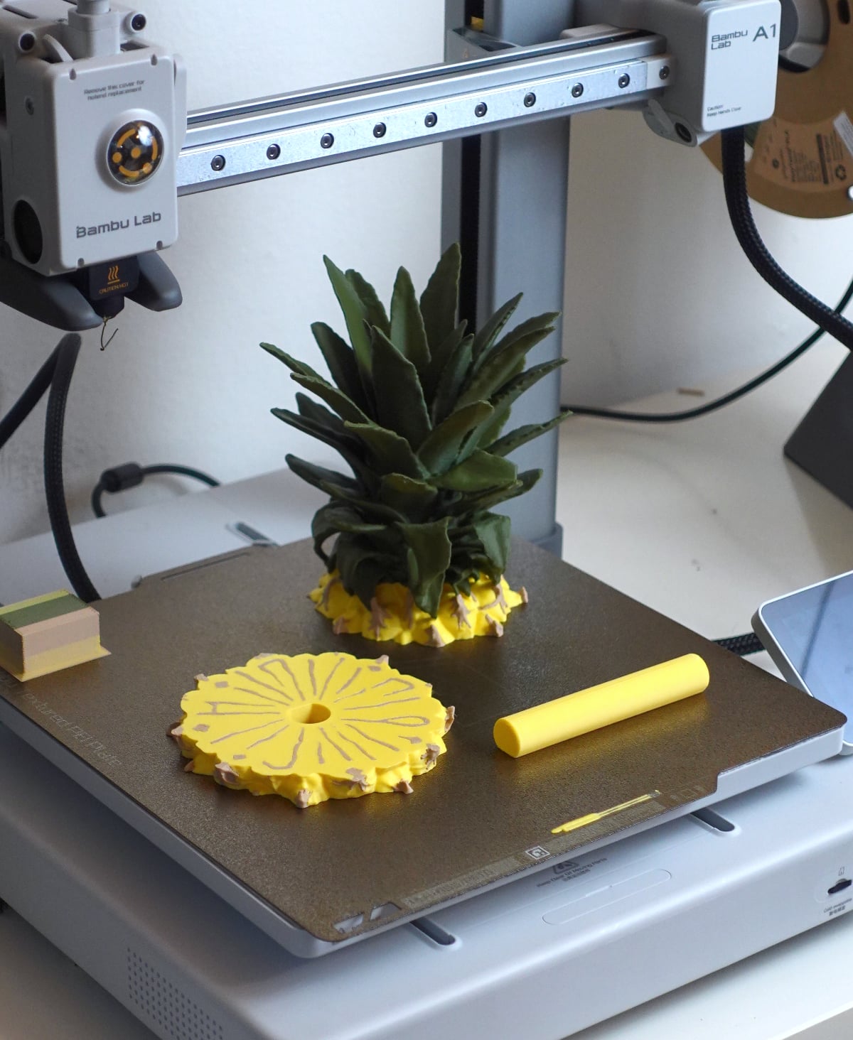 Pineapple coasters 3d model