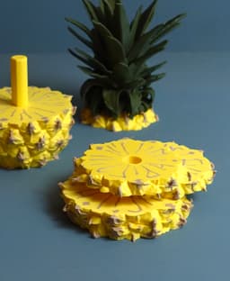Pineapple coasters 3d model