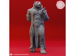 Rakshasa - Tabletop Miniature 3d model