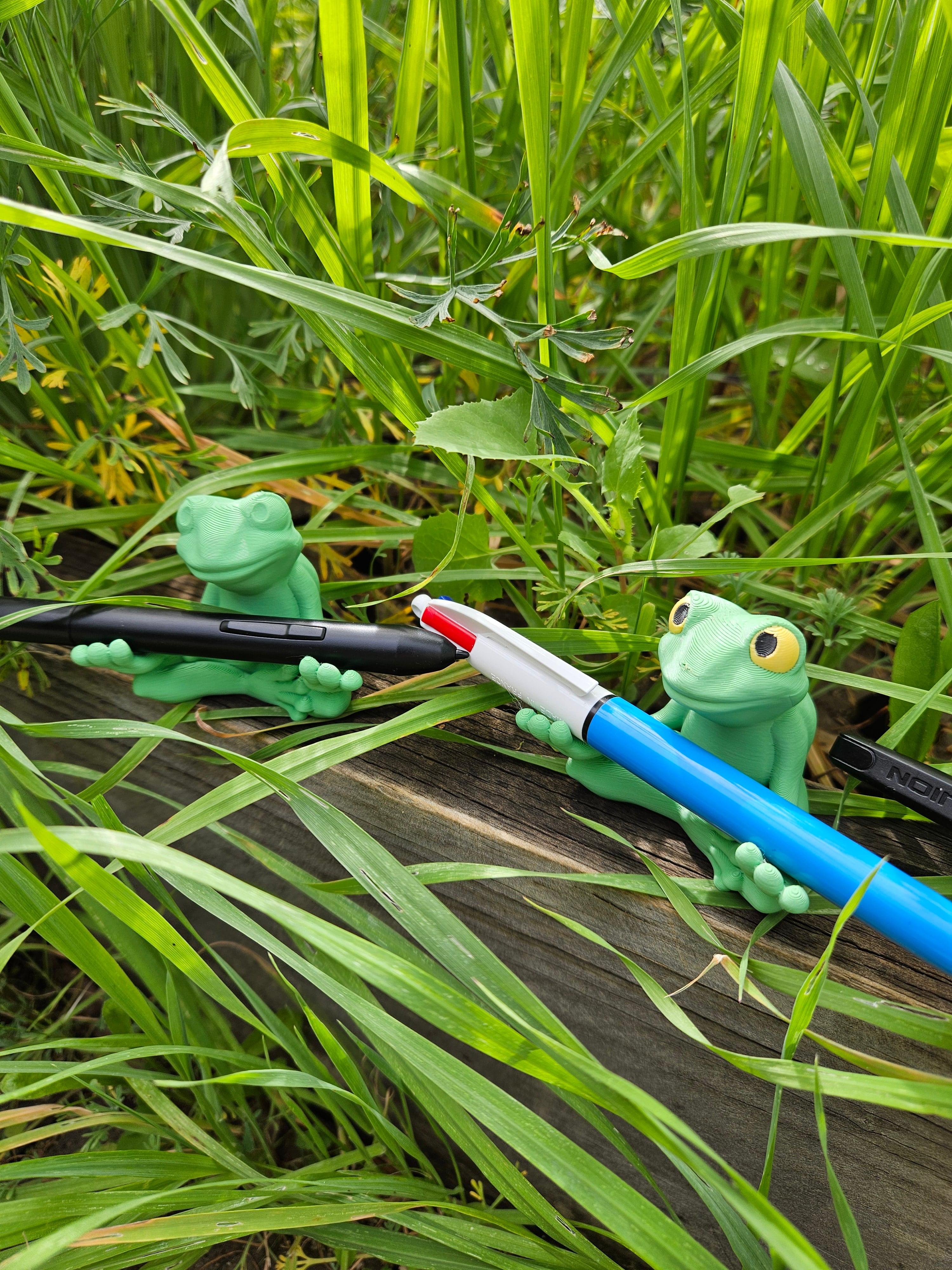 Pen holder Frog buddy 3d model