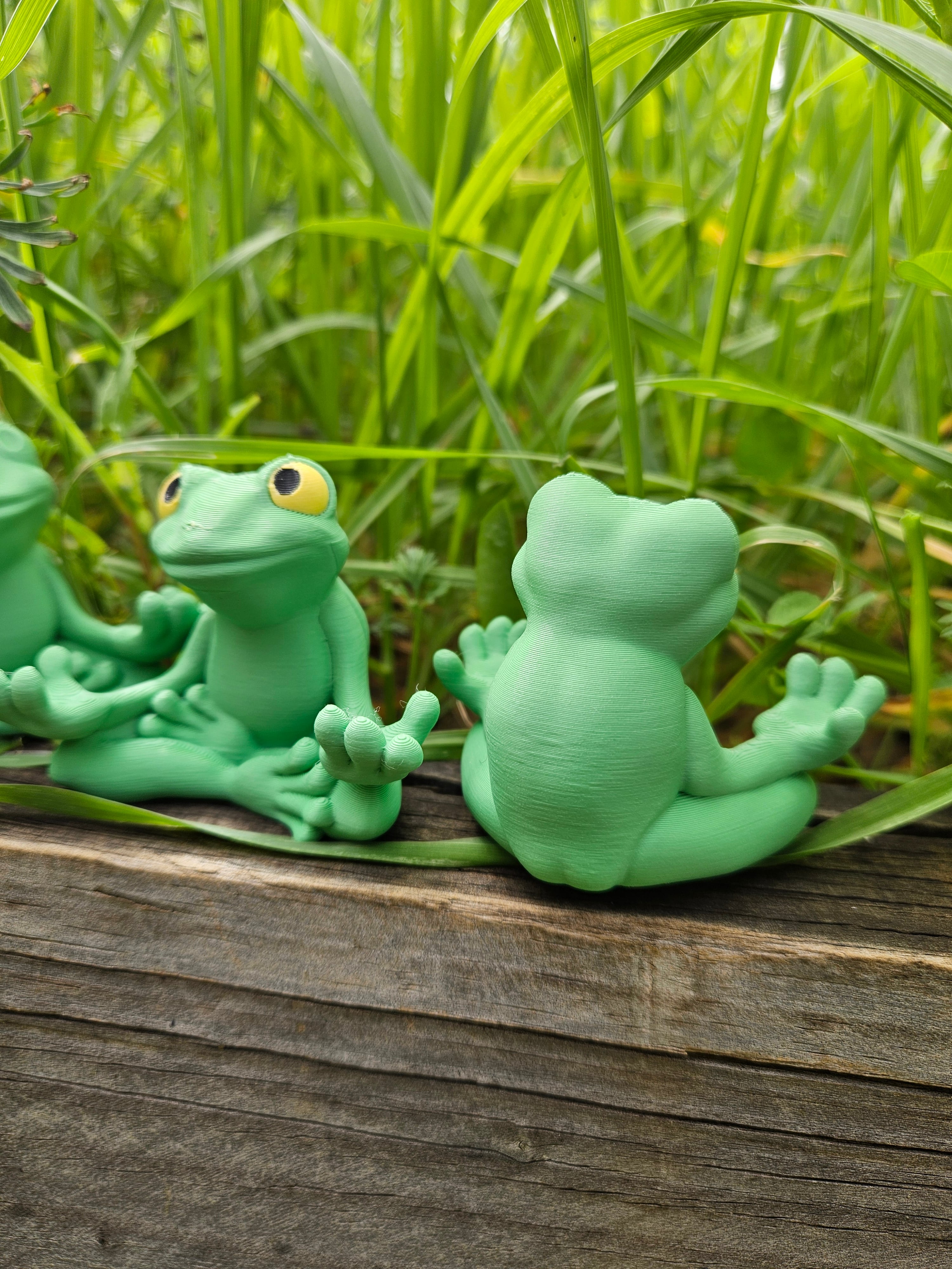 Pen holder Frog buddy 3d model