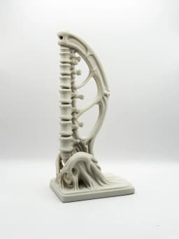 Vertebrae Bow Bookends 3d model