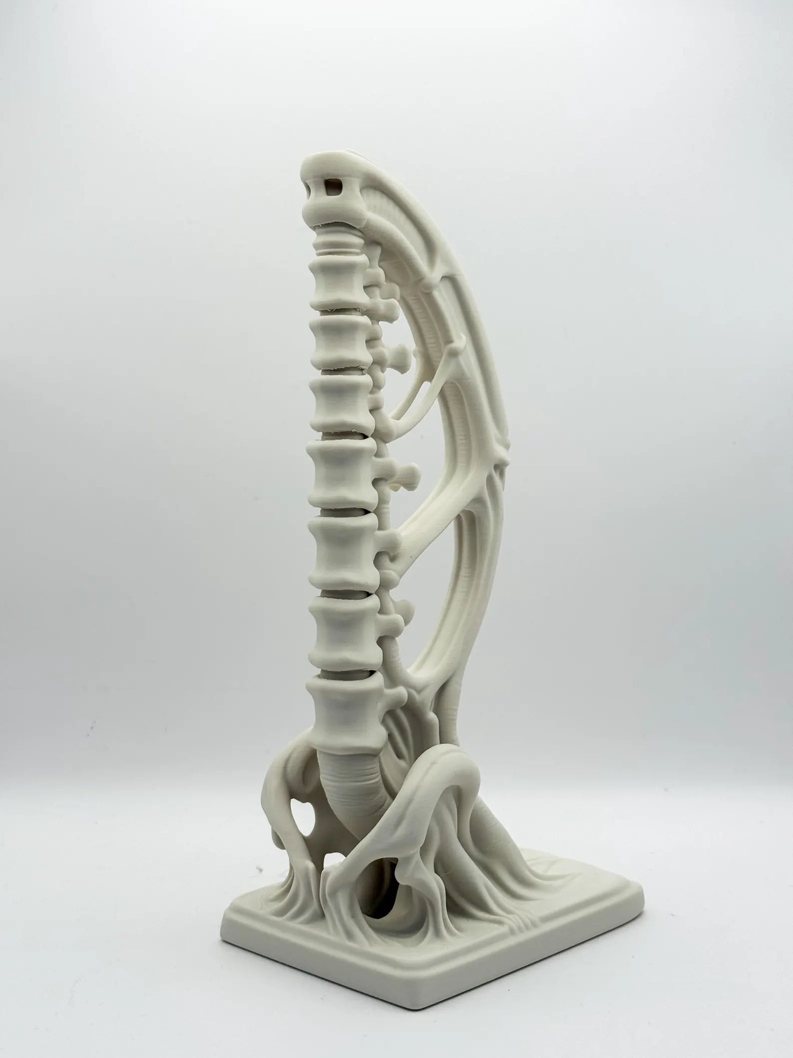 Vertebrae Bow Bookends 3d model