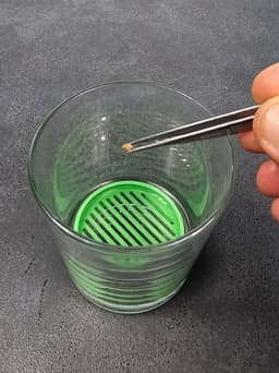 Seedler Easy Germination Rack for Plant Seeds 3d model