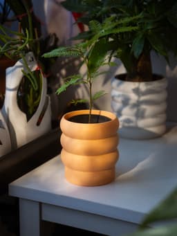 Bubble Planter 3d model
