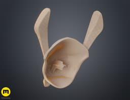 Seth Guard Helmet 3d model