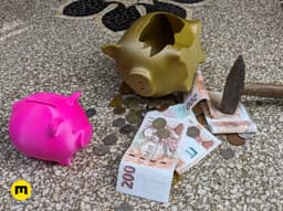 Save 'n' Smash Piggy Bank 3d model