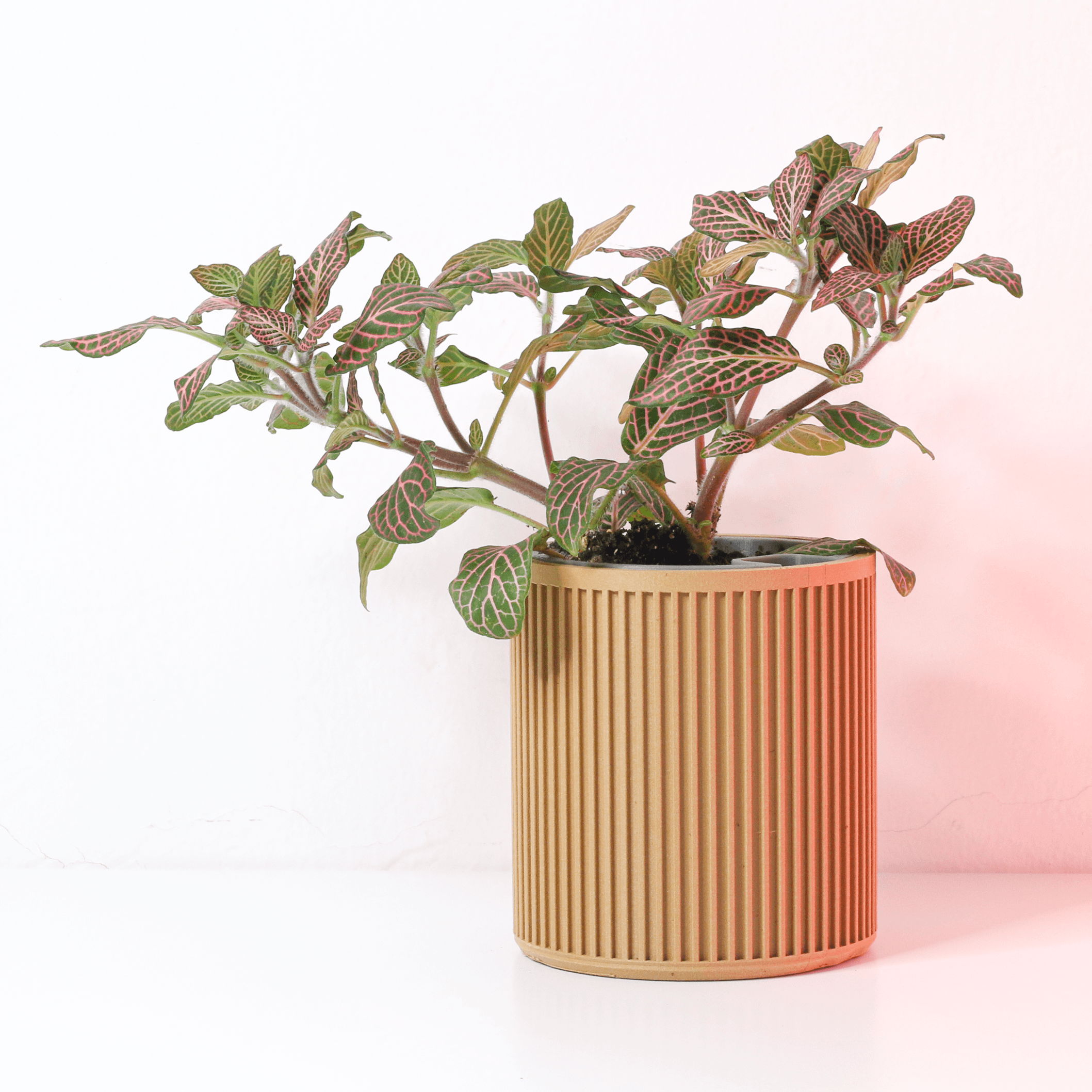 SELF WATERING PLANTER READY TO BE PRINTED IN WOOD PLA - JAPAN 3d model