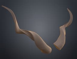 Kudu horns 3d model