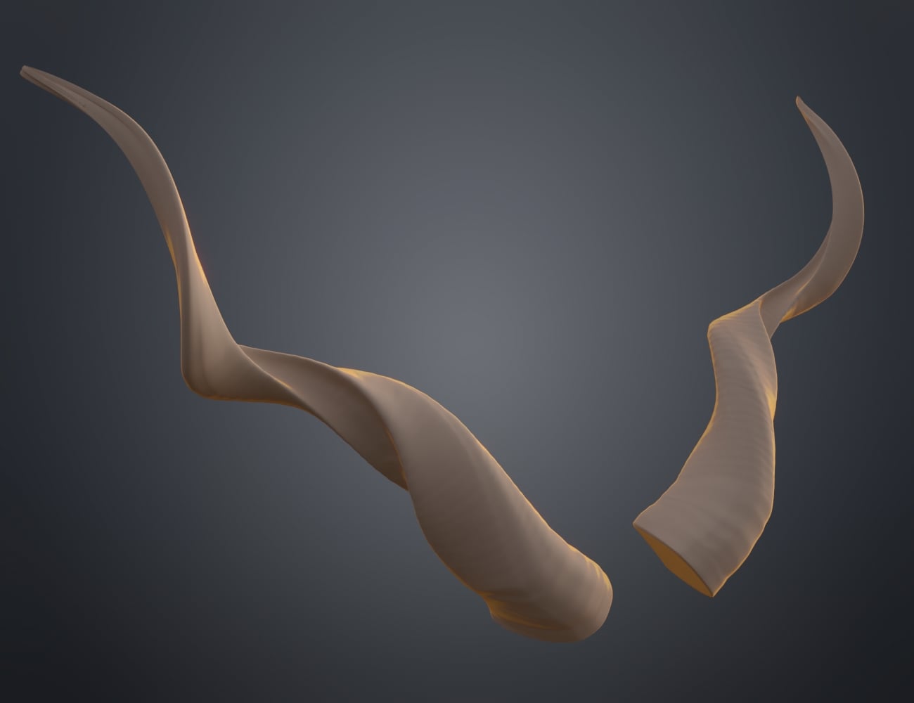 Kudu horns 3d model