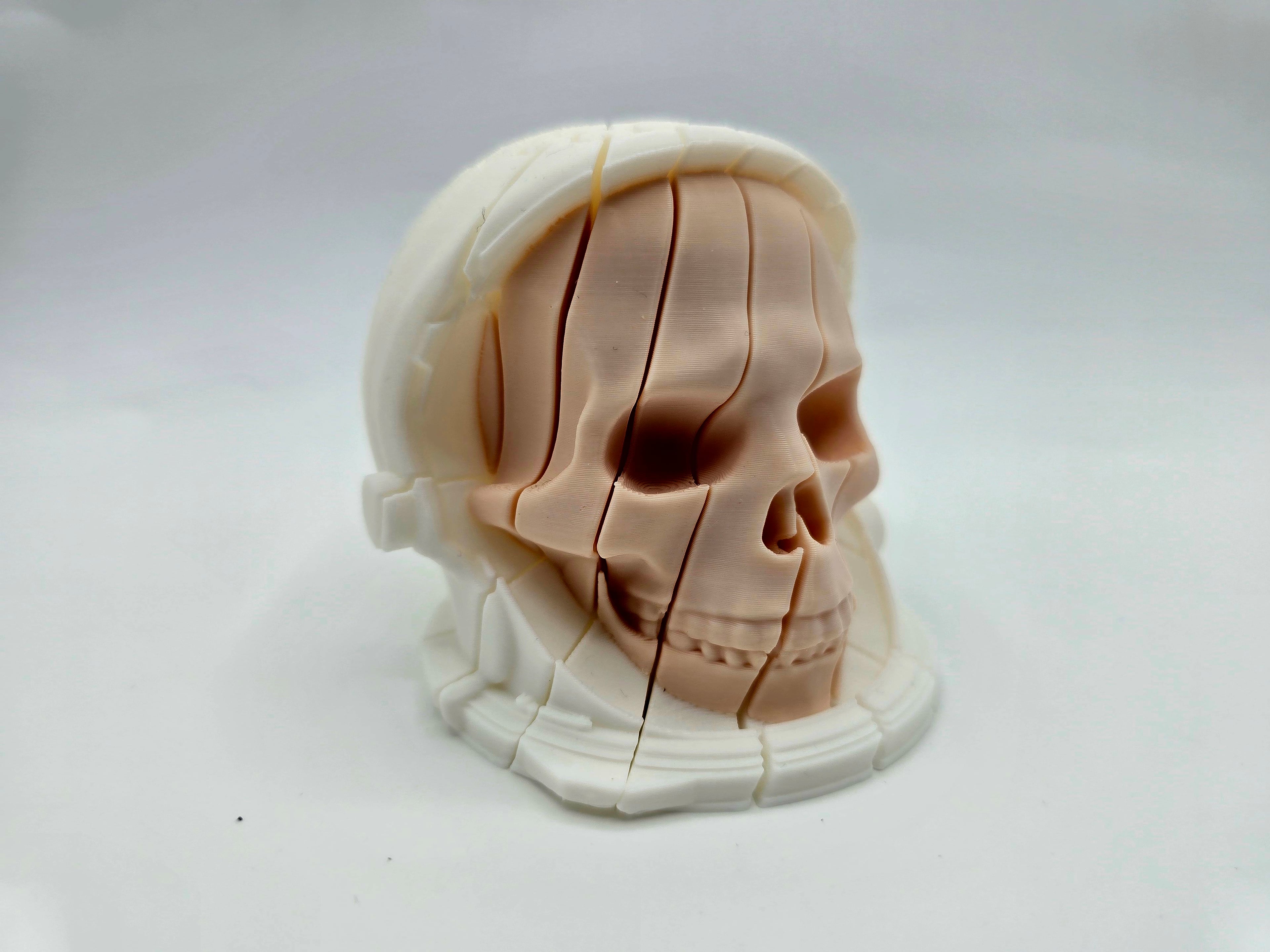 Twist Astronaut Skull Fidgets Full Collection 3d model