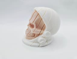 Twist Astronaut Skull Fidgets Full Collection 3d model