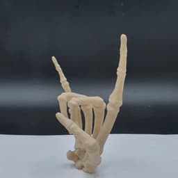 SKELETON HAND HORNS ROCK AND ROLL 3d model
