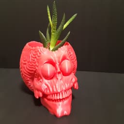 MARTIAN SKULL PLANTER - WITH OR WITHOUT DRAINAGE 3d model