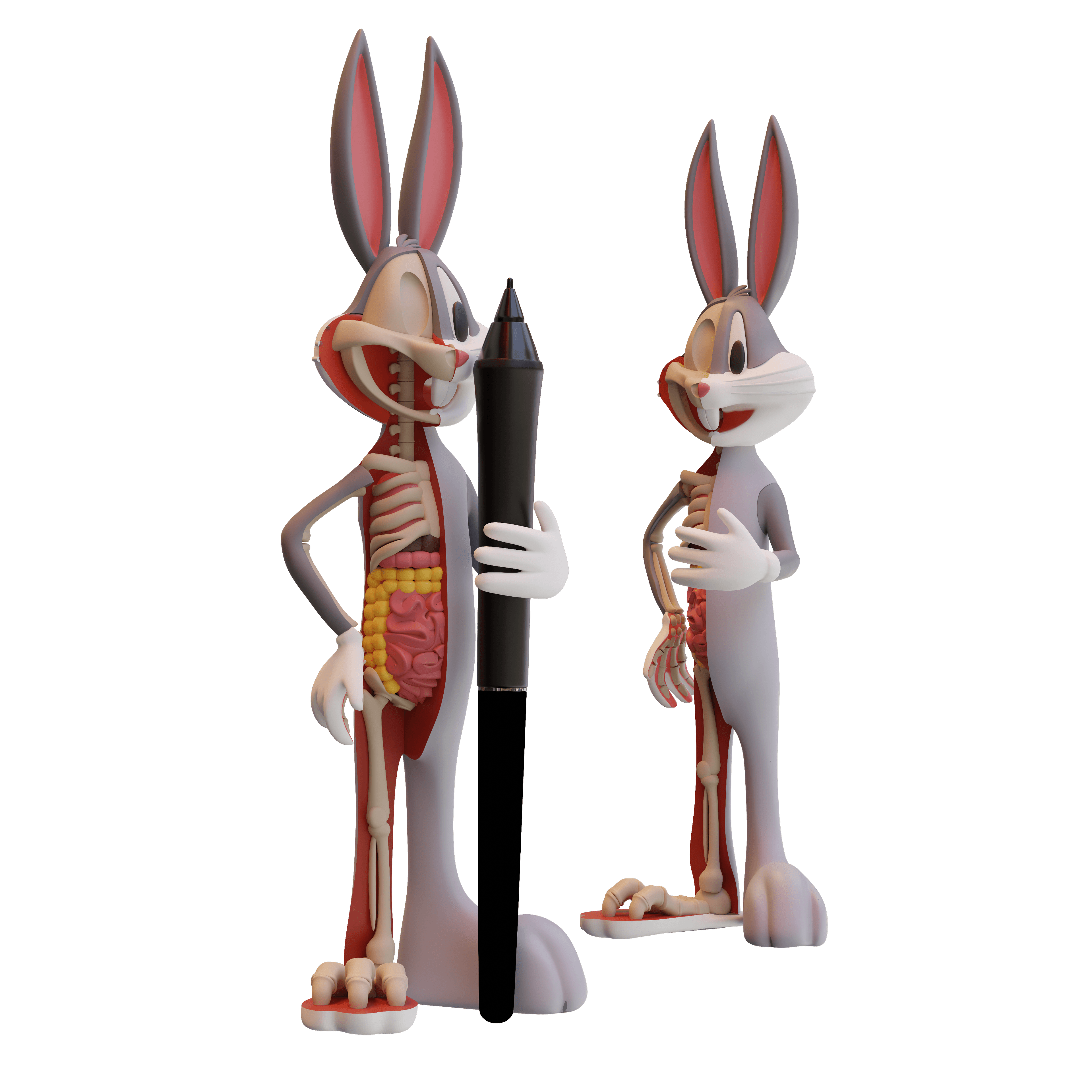 Anatomical Wabbit Pen Holder 3d model