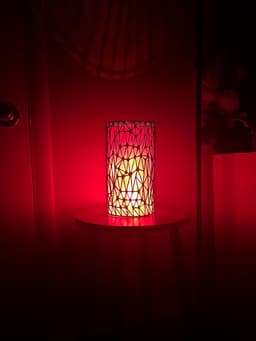 Abstract Vase or Lamp Shade.stl 3d model