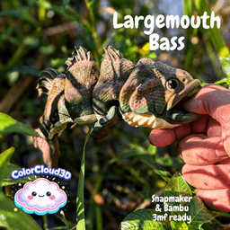 Largemouth Bass 3d model