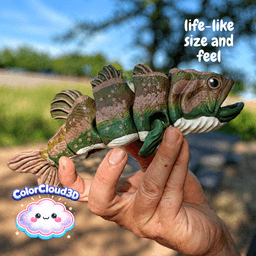 Largemouth Bass 3d model