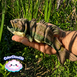 Largemouth Bass 3d model
