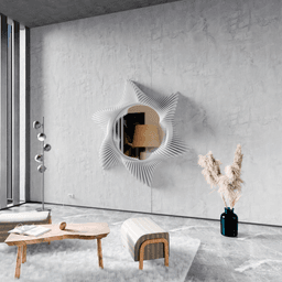 Starfish Mirror Wall Art Design 3d model