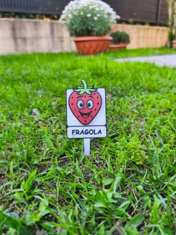 Etichette Orto con Facce Divertenti 3d model