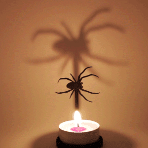 Insect Spider 3d model