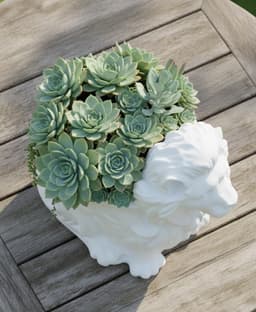 Majestic Lion Succulent Planter 3d model