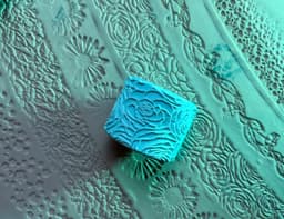 Texture Rollers โ Floral Patterns 3d model