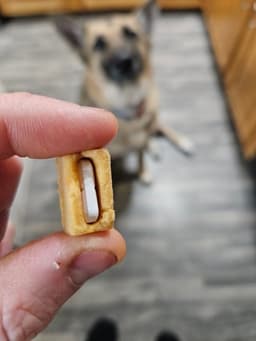 Tricky Dog Treats! 3d model
