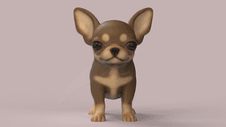 Cute Puppy Chihuahua 3d model