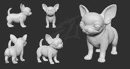 Cute Puppy Chihuahua 3d model