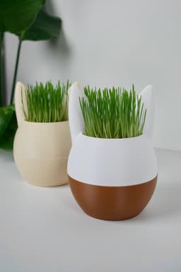 SPROUTBUNNY self-watering Easter Bunny Planter 3d model