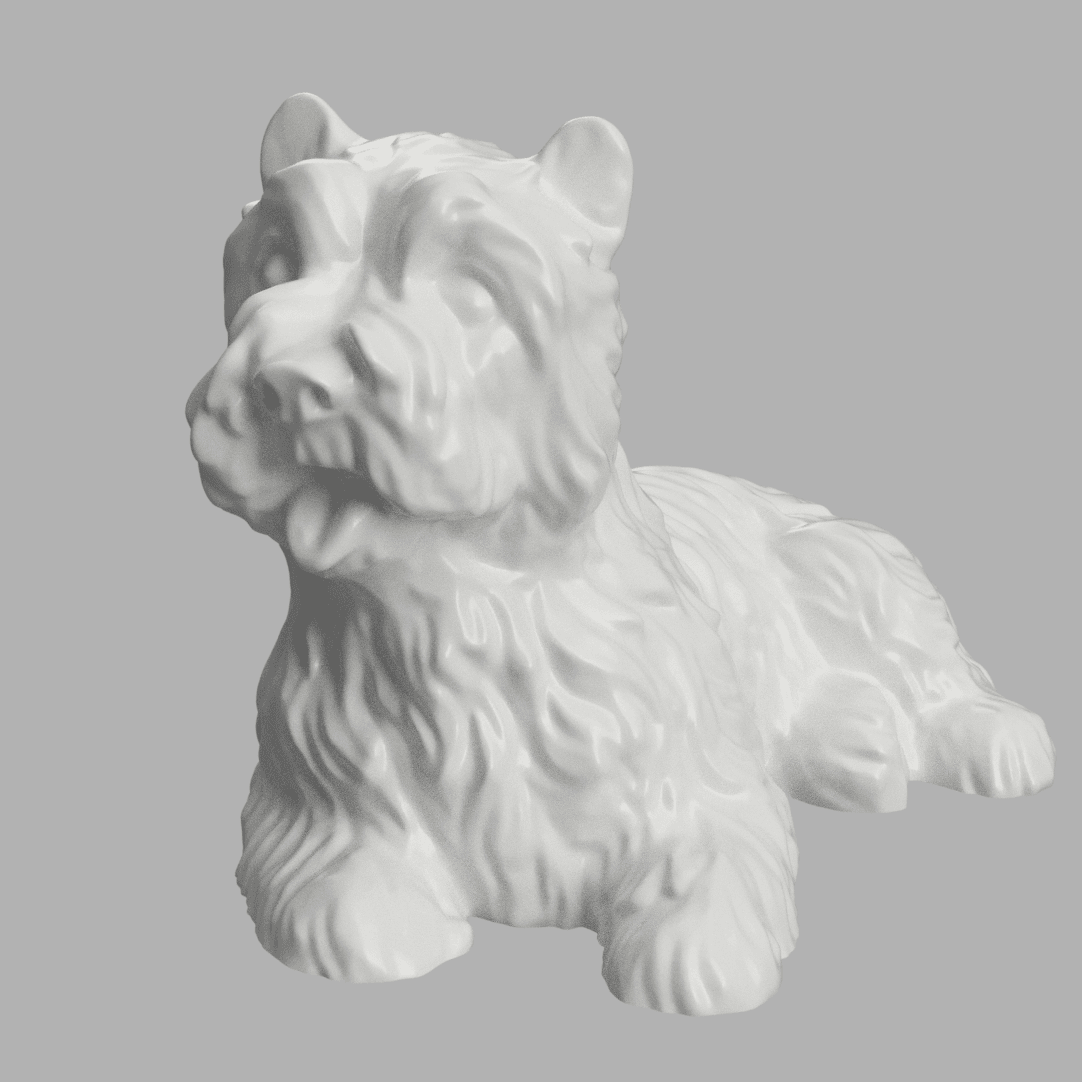 Bichon maltais 3d model