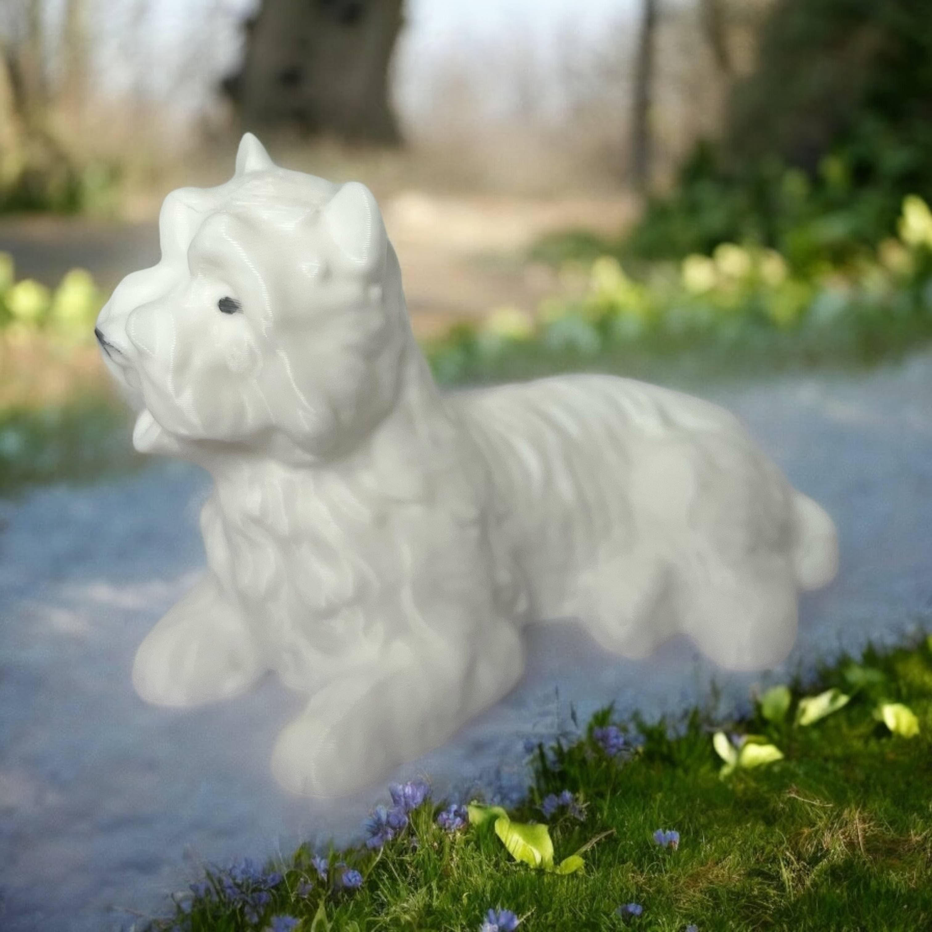 Bichon maltais 3d model