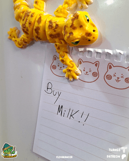 Gecko | Flexi Magnet | Multicolor 3d model