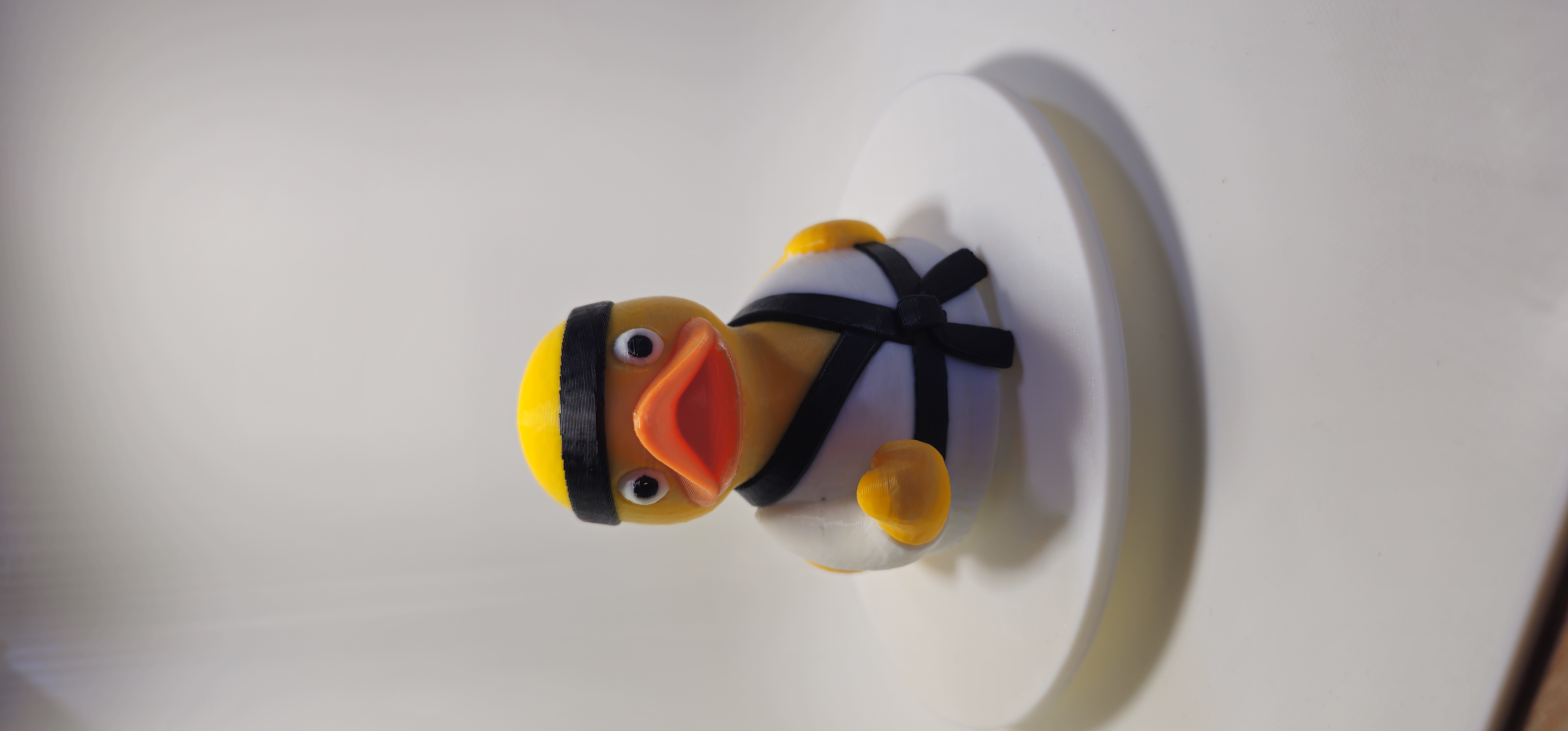 Martial Arts Duck 3d model