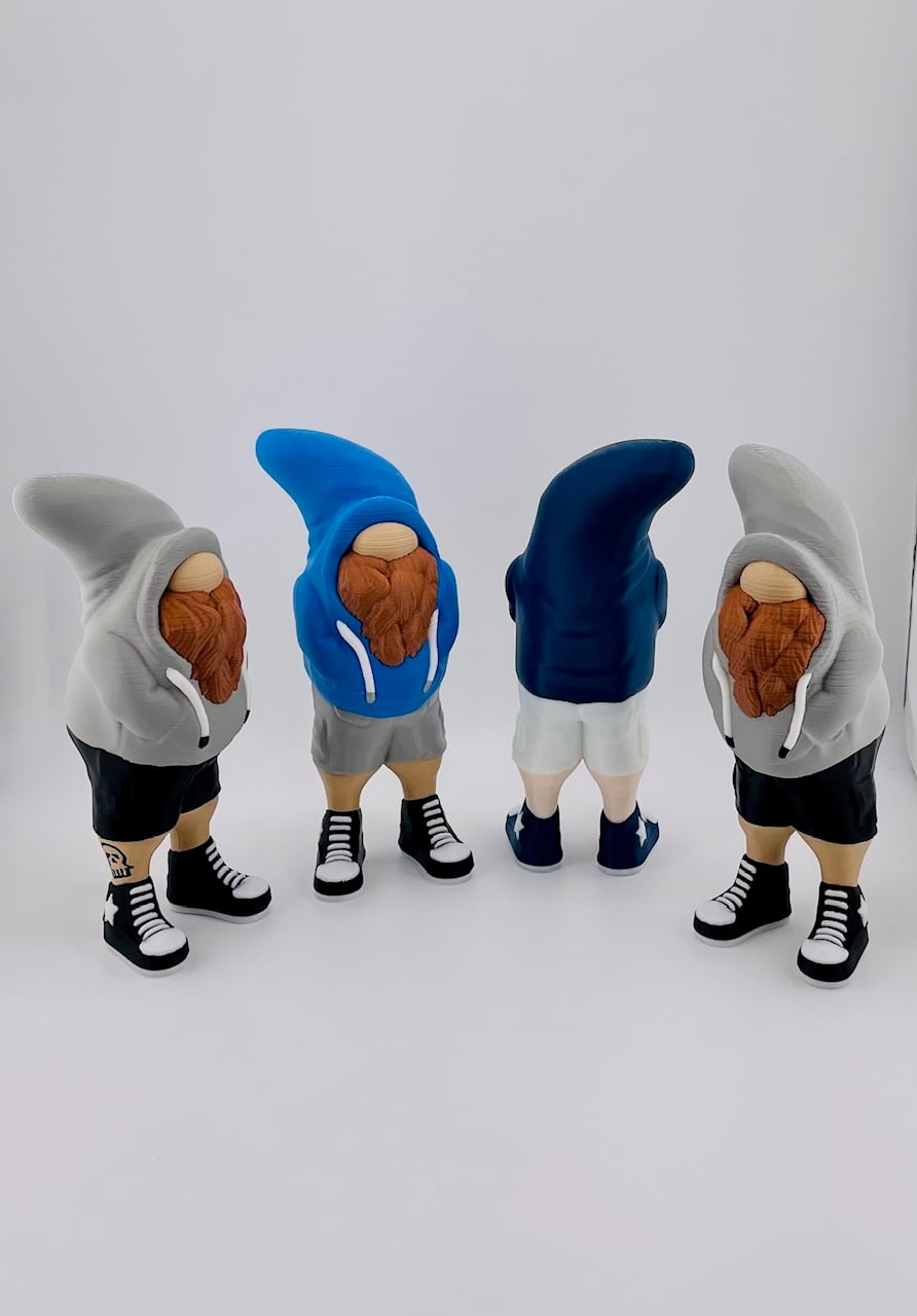 Bruh Gnome... Sup? 3d model
