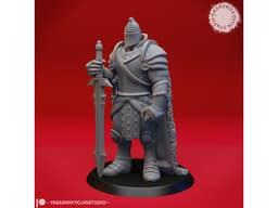 Armored Fighter / Knight - Tabletop Miniature 3d model