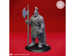 Armored Fighter / Knight - Tabletop Miniature 3d model