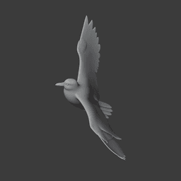 Auk 3d model