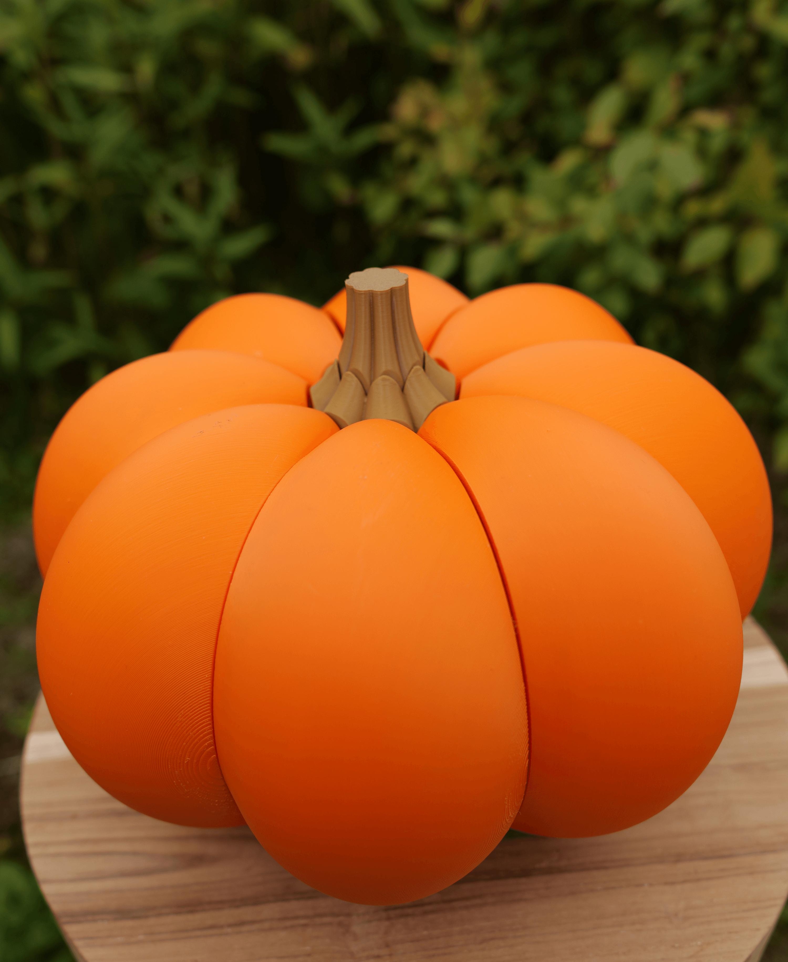Sliced Pumpkin Box 3d model